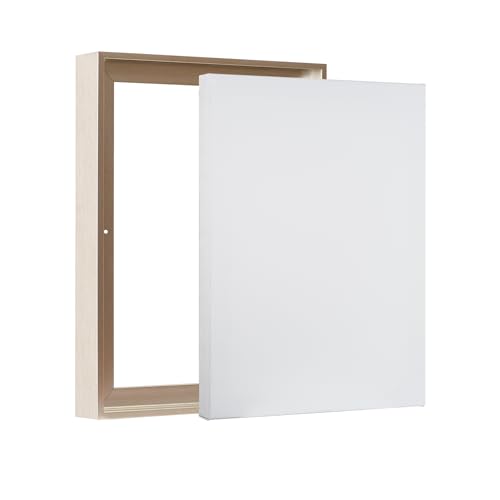 PIXY CANVAS Value Pack of 8x10 Stretched Canvas 1-1/2 (1.5) inch deep and Floater Frame for Your Paintings/Artwork/Wall Art/Wall Decor (Champagne, 8 x 10 inch, Portrait) - color: Champagne, size: 8 x 10 inch