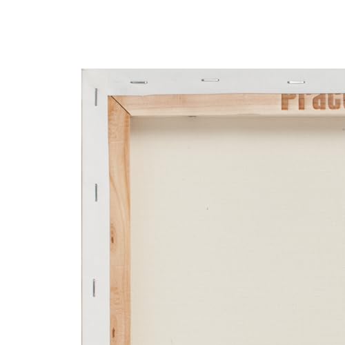 Practica Economy Stretched Cotton Canvas - Acid-Free Acrylic Primed Canvas for Acrylics, Pastels, Graphite, & More! - [2-Pack - 11x14] - size: 11x14"