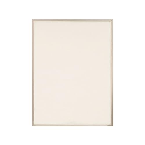PIXY CANVAS Value Pack of 8x10 Stretched Canvas 1-1/2 (1.5) inch deep and Floater Frame for Your Paintings/Artwork/Wall Art/Wall Decor (Champagne, 8 x 10 inch, Portrait) - color: Champagne, size: 8 x 10 inch