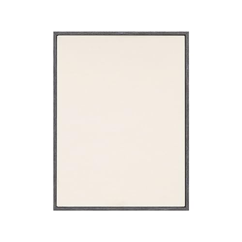 Pixy Canvas Value Pack of 11x14 Stretched Canvas 1-1/4 (1.25) inch deep and Floater Frame for Your Paintings/Artwork/Wall Art/Wall Decor (Rustic Gray, 11 x 14 inch, Portrait) - color: Rustic Gray, size: 11 x 14 inch