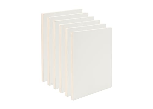 Da Vinci Pro Resist-Grip Coarse Textured Gesso Board, 8x10-6 Pack, 3/4" Depth Art Boards for Painting, White Acrylic Polymer with Quartz Sand, Warp-Resistant Cradled and Sealed MDF Panel