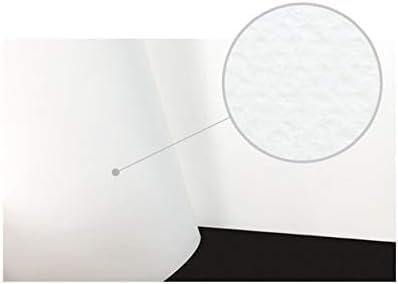 MUNGYO Professional Pastel Paper Pad. A4 Size Oil Pastel Paper, 30 Sheets (White), Drawing Board, Artist Paper, Art & Crafts, Hobby