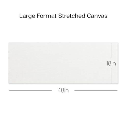 KINGART 851-6 Stretched White Canvas for Painting, 18 x 48 Inch, Pack of 6 | 100% Cotton Canvas, Triple Primed Acid-Free Gesso, Ready to Paint, Back-Stapled, Pine Bars - size: 18 x 48 Inch