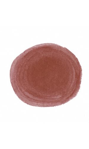 Higgins Pigmented Drawing Ink, Carmine Red, 1 Ounce Bottle (44655) - color: Carmine Red