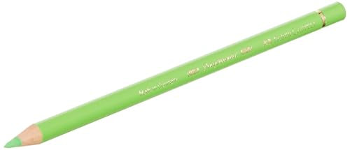Faber-Castell Art & Graphic Polychromos Colour Pencil, Multicoloured, Tin Of 12, For Art, Craft, Drawing, Sketching, Home, School, University, Colouring - size: 12 Count (Pack of 1)