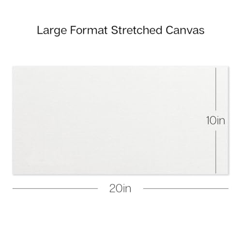 KINGART 841-6 Stretched White Canvas for Painting, 10 x 20 Inch, Pack of 6 | 100% Cotton Canvas, Triple Primed Acid-Free Gesso, Ready to Paint, Back-Stapled, Pine Bars - size: 10 x 20 Inch