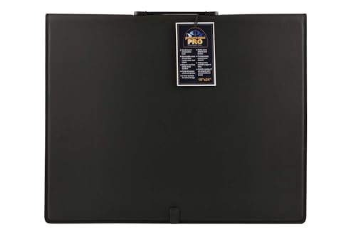Picturesque Pro Presentation Case- Professional Art Portfolio Folder for Artwork up to 18x24- Vegan Leather Zippered Case, Archival Storage Solution w/Removable Spiral-Bound Book of 20 Clear Sleeves - size: 18x24 in w/ Refill