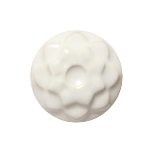 AMACO Celadon High Fire Gloss Glaze, 16 oz. (473 mL), C-10 Snow | Transparent, Mixable Mid-High Fire Cone 5-6 (C) Liquid Ceramic Pottery Glaze for Bisque - color: C-10 Snow