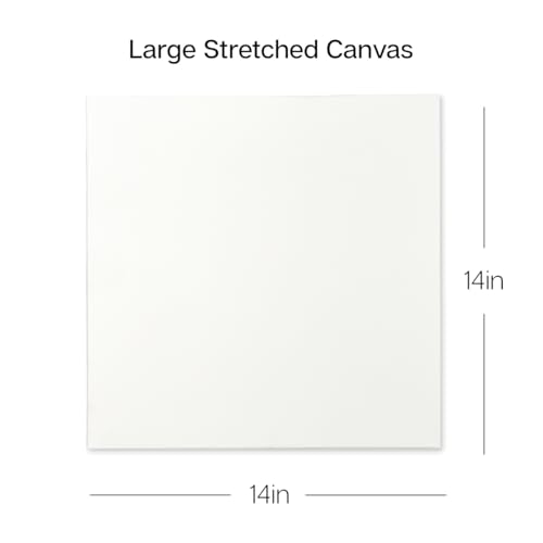 KINGART 840-6 Stretched White Canvas for Painting, 14 x 14 Inch, Pack of 6 | 100% Cotton Canvas, Triple Primed Acid-Free Gesso, Ready to Paint, Back-Stapled, Pine Bars - size: 14 x 14 Inch