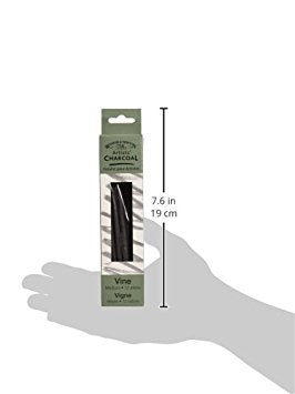 Winsor & Newton Artist Vine Charcoal Sticks, Medium, Box of 12 Sticks | Carefully Selected for Uniformity Without Imperfections, For Artists' Use, Baked for Consistent Intensity - style: Box of 12