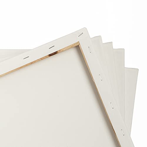 ™ Med Weight Traditional Stretched Canvas 24” x 36”, Oil & Acrylic Paints Triple Acrylic Primed Gesso Wood Frame Canvas Smooth Surface & Reduce Absorbency, Acid-Free White, 24x36 Canvas. - size: 24" x 36"