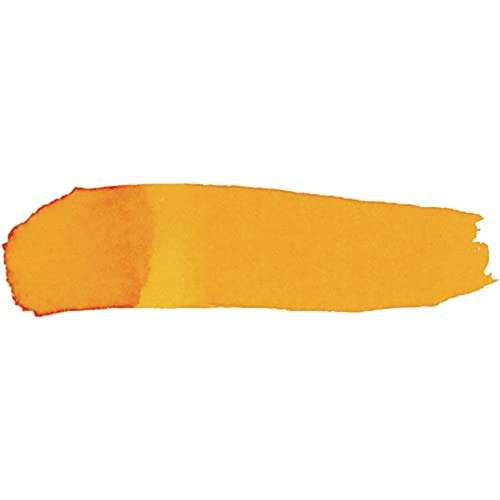 Colorations LWTA Liquid Watercolor Paint, 8 fl oz, Tangerine, Non-Toxic, Painting, Kids, Craft, Hobby, Fun, Water Color, Posters, Cool effects, Versatile, Gift | 8 oz Bottle, Non-Toxic & Made in the USA, Ages 4+, PreK+ - color: Tangerine, style: Standard