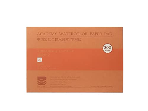 BAOHONG Academy Grade Watercolor Block, 100% Cotton, Acid-Free, 140LB/300GSM, Hot Press Surface, 20 Sheets per Block (Hot Press 8.3"x12.2") - size: Hot Press 8.3"x12.2"