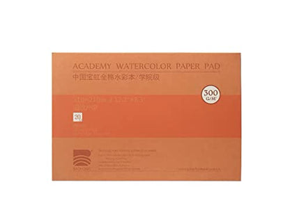 BAOHONG Academy Grade Watercolor Block, 100% Cotton, Acid-Free, 140LB/300GSM, Hot Press Surface, 20 Sheets per Block (Hot Press 8.3"x12.2") - size: Hot Press 8.3"x12.2"