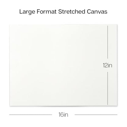 KINGART 805-6 Stretched White Canvas for Painting, 12 x 16 Inch, Pack of 6 | 100% Cotton, Triple Primed Acid-Free Gesso, Ready to Paint, 5/8" Profile, Back-Stapled - size: 12 x 16 Inch