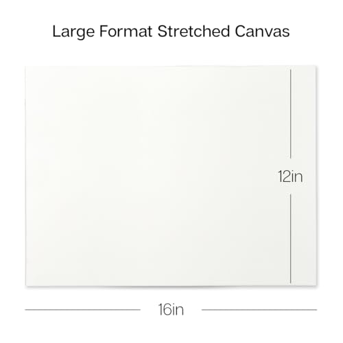 KINGART 805-6 Stretched White Canvas for Painting, 12 x 16 Inch, Pack of 6 | 100% Cotton, Triple Primed Acid-Free Gesso, Ready to Paint, 5/8" Profile, Back-Stapled - size: 12 x 16 Inch