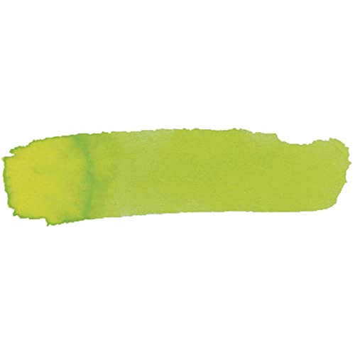 Colorations Liquid Watercolor Paint, 8 fl oz, Lilac, Non-Toxic, Painting, Kids, Craft, Hobby, Fun, Water Color, Posters, Cool effects, Versatile, Gift, Lime | Non-Toxic & Made in the USA, Arts & Crafts Supplies, Ages 4+, PreK+ - color: Lime, style: Standa