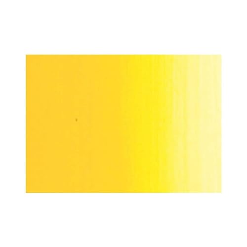 SENNELIER Artists Color Oil Paint, 200ml, Cadmium Yellow Medium S6 - color: Cadmium Yellow Medium S6, size: 1 Count (Pack of 1)