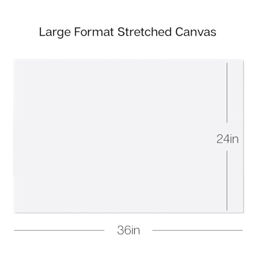 KINGART Stretched White Canvas Set – Rectangle, 24x36 Inch, 2-Pack – 100% Cotton, Triple Gesso Primed – 5/8" Profile Back-Stapled Artist Boards for Acrylic, Oil, Pouring, & Mixed Media Painting - size: 24" x 36"