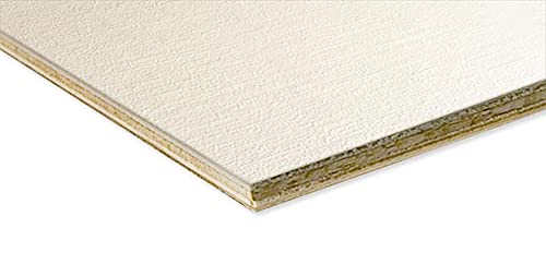 Raphael Premium Archival Oil Primed Linen Panel Canvas - Size - 2 Pack of Linen Canvas for Painting - color: 2 Pack, size: 24x30 in
