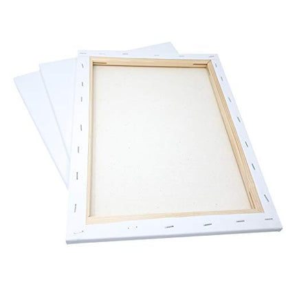 milo Stretched Artist Canvas, 16x20 inch, Value Pack of 6, Blank White | Primed & Ready-to-Paint Art Painting Supplies for Acrylic, Oil, Mixed Wet Media, & Pouring, 100% Cotton with Pine Wood Frame - size: 16" x 20"