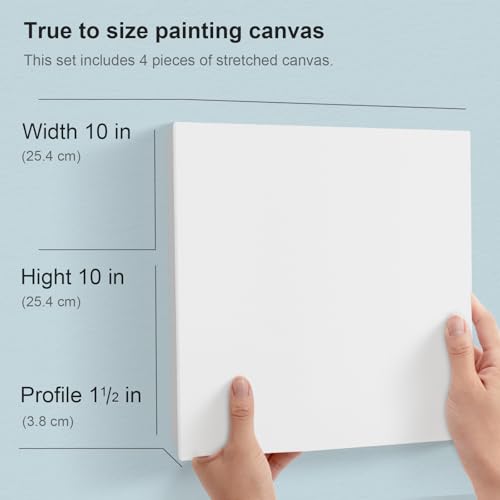 PHOENIX 10x10 Gallery Depth Watercolor Canvas 4 Pack - size: 10"x10", style: Gallery Canvas