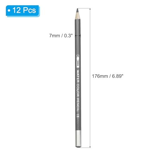 PATIKIL Watercolor Pencil, 12Pcs Water Soluble Pencils for Blending, Coloring, Sketch Drawing, Painting, Grey - color: Grey