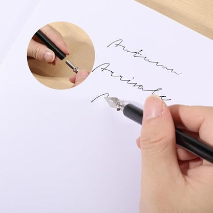 beinkmake 20Pcs Comic Pen Nib Set 17 Styles Stainless Steel Dip Pen Nib Replacement 3 Colors Wooden Pen Holder for Writing Drawing Signing