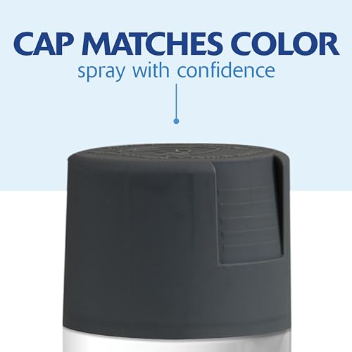 Rust-Oleum Painter's Touch 2X Ultra Cover Spray Paint, Satin Charcoal Gray - color: Satin Charcoal Gray, size: 12 Ounce (Pack of 1)