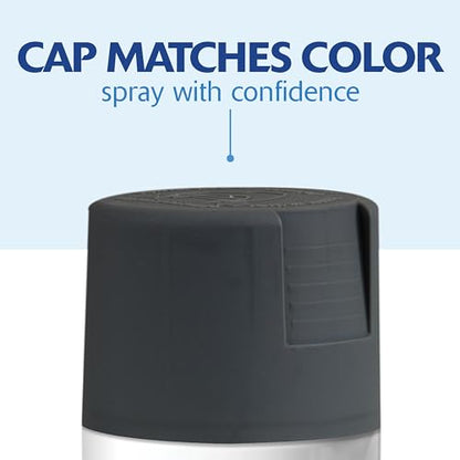 Rust-Oleum Painter's Touch 2X Ultra Cover Spray Paint, Satin Charcoal Gray - color: Satin Charcoal Gray, size: 12 Ounce (Pack of 1)