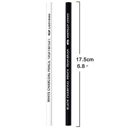 qianshan 2 Pcs Black White Color Charcoal Pencils, Professional Hight Quality Sketch Highlight Charcoal Wooden Pencils for Artist Drawing, Sketching, Blending, 2 Colors of 1 Black, 1White - color: 1 black+1 white charcoal