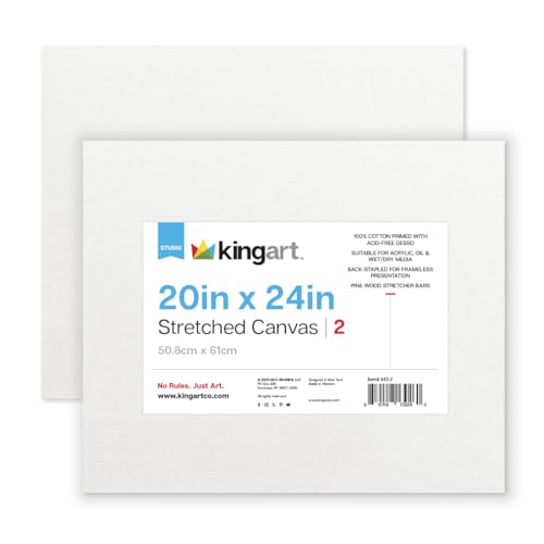 KINGART 843-2 Stretched White Canvas for Painting, 20 x 24 Inch, Pack of 2 - size: 20 x 24 Inch