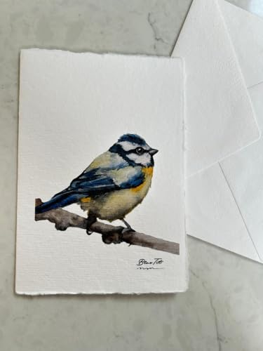 WANDERINGS Handmade Deckle Edge Blank Greeting Cards & Envelopes with Bird Art - 300 GSM Paper– 20 Cards (5 Each of 4 Varieties) for Invitations, Thank Yous, Get Well and Birthday Cards –5" x 7" - color: Bird Art