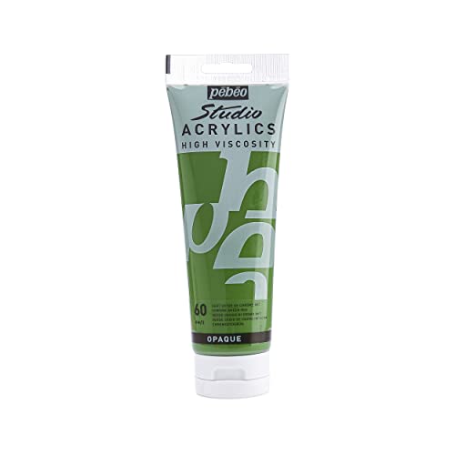 Pebeo Studio Acrylics High Viscosity, Fine Acrylic, 250 ml - Chrome Green Hue - color: Chrome Green Hue, size: 8.45 Fl Oz (Pack of 1)