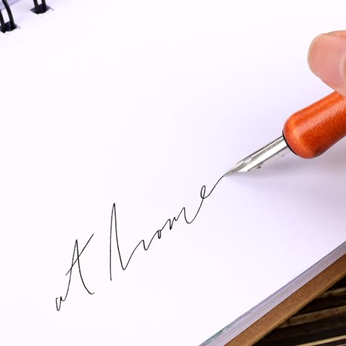 Piriuuo 14 Pcs Dip Pen Set Nib Pen Holder Comic Pen Nib Set G Pen Ink Nib Calligraphy Pen Nibs Wooden Drawing Pen Holder with Stainless Steel Pen Nibs Dip Pens for Writing, Painting, Signing