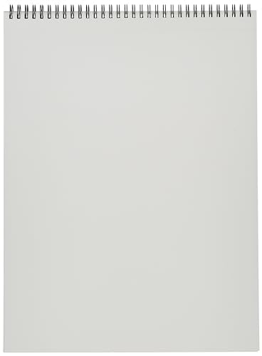 Canson Artist Series Mixed Media Paper, 11" x 14", Wirebound Pad, 20 Sheets | Artist Paper for Adults and Students - Watercolor, Gouache, Graphite, Ink, Pencil, Marker