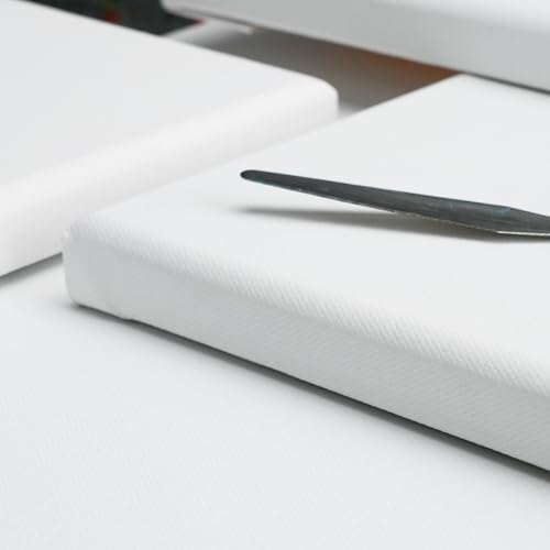 PHOENIX 24x36 Inch 2 Pack Artist Canvas - Extra Large Stretched Canvases for Painting - 3/4 Inch Profile, 100% Cotton 11 Oz. Gesso Primed White Blank Professional Canvas Oil & Acrylic Paints - size: 24"x36", style: Traditional