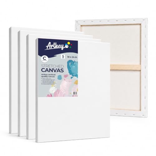 Stretched Canvases for Painting 18x24 Inch 5-Pack, 10 oz Triple Primed Acid-Free 100% Cotton Blank Canvas, Rectangular Canvas for Oil Paint Acrylics Pouring & Wet Art Media, Pour Painting - size: 18"x24"(5-Pack), style: Studio