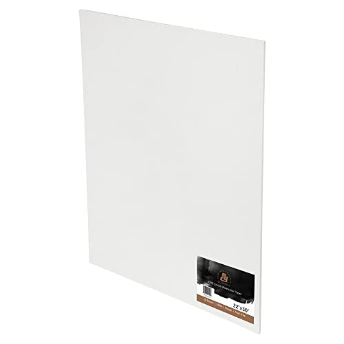 New York Central Watercolor Paper, 140 lb. Cold Press - 22"x30" 10 Sheets | 100% Cotton, Acid-Free, Archival Quality, Bright White Watercolor Paper Pad for Wet & Dry Media - size: 22"x30"