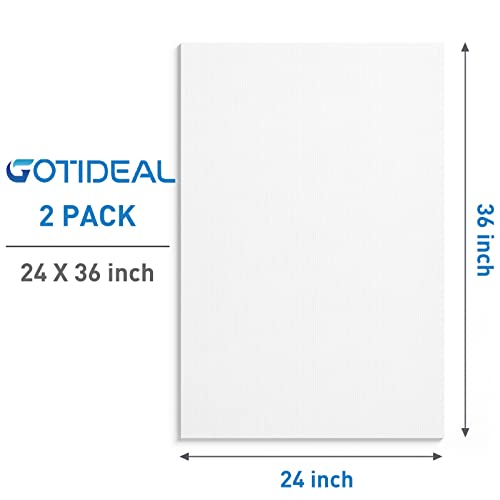 GOTIDEAL Stretched Canvases for Painting, 24x36 Inch Set of 2 - color: White, size: 24"x36"