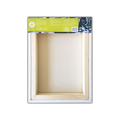 Artist's Loft Level 3 Gallery Wrapped Heavy Duty Canvas - size: 12 x 16