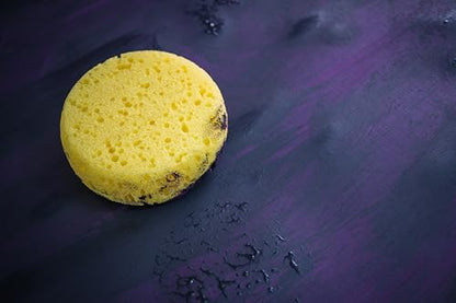 Hydrophilated Synthetic Sponges 6pc, Superior Absorbency, Painting & Crafts