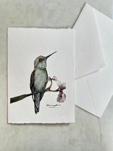 WANDERINGS Handmade Deckle Edge Blank Greeting Cards & Envelopes with Bird Art - 300 GSM Paper– 20 Cards (5 Each of 4 Varieties) for Invitations, Thank Yous, Get Well and Birthday Cards –5" x 7" - color: Bird Art