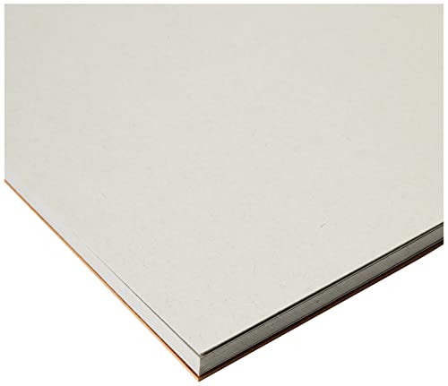 Strathmore 400 Series Toned Mixed Media Pad, 184 lb. Paper, 9 X 12 inches, Gray, 15 Sheets (462-309) (Pack of 12) - color: Toned Gray, size: 9 x 12 inches (Pack of 12)