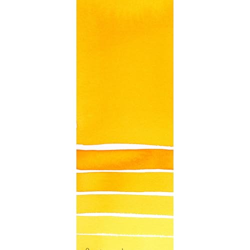 Daniel Smith Extra Fine Watercolor Paint, 5ml Tube, New Gamboge, 284610060, 0.17 Fl Oz (Pack of 1) - color: New Gamboge