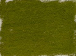 Girault Soft Pastel - Leaf Green 202