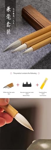Chinese Calligraphy Brush Set for Writing, Drawing, Ink Brushes, Japanese Kanji Sumi Brush Pen (JianSeries 3pcs)