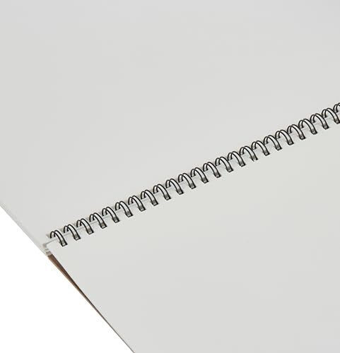 Canson Artist Series Mixed Media Paper, 11" x 14", Wirebound Pad, 20 Sheets | Artist Paper for Adults and Students - Watercolor, Gouache, Graphite, Ink, Pencil, Marker
