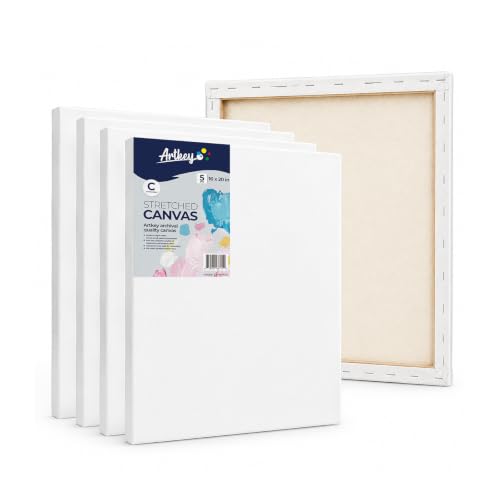 Stretched Canvases for Painting 16x20 Inch 5-Pack, 10 oz Triple Primed Acid-Free 100% Cotton Blank Canvas, Rectangular Canvas for Oil Paint Acrylics Pouring & Wet Art Media, Pour Painting - size: 16"x20"(5-Pack), style: Studio
