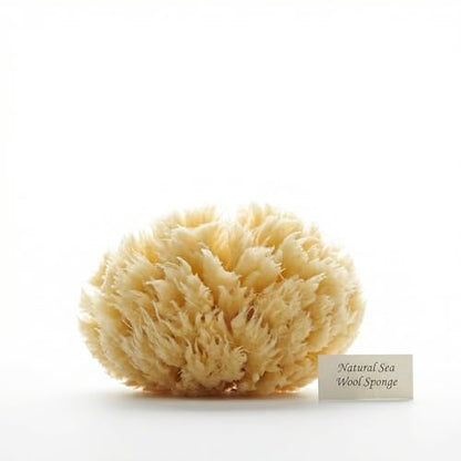 Natural Sea Wool Sponges 2pk, 6"-7" Body Sponge + 3"-4" Facial, Bath & Face | Softest sea sponge variety. Sustainably harvested & hypoallergenic. Perfect body + face set, gift-ready in a drawstring bag.